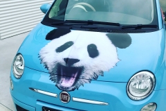 Sky Fitness FIAT
